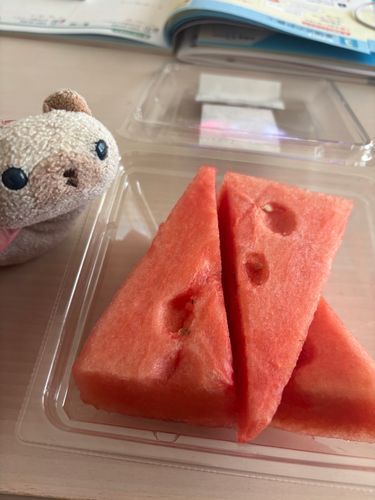 お母さんからスイカをもらいました(=^x^=)
ニヤアはサクサクと食べました🍉