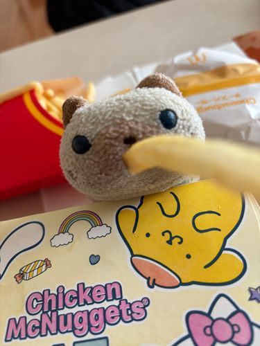ポテトをパクッッ(=^x^=)