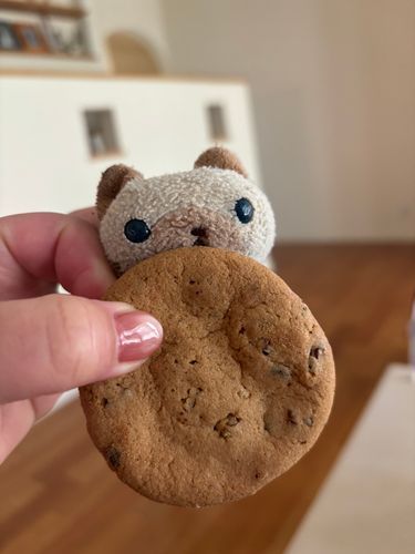 お母さんが母の日のプレゼントにクッキーをもらっていたので、ニヤアは分けてもらいました(=^x^=)
サクサクで美味しかったでしゅ！