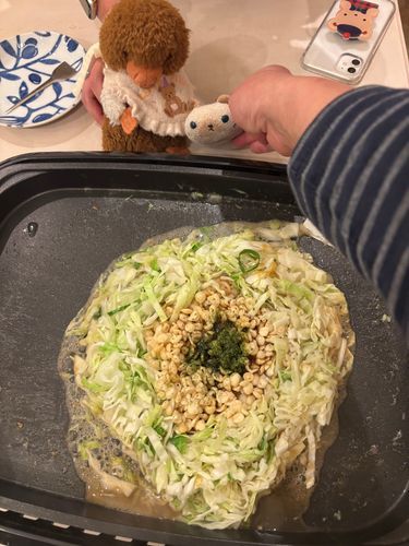 もんじゃ焼きとお好み焼きパーティーしてましゅ(=^x^=)
にへとしらこも来てるんでしゅよ！
