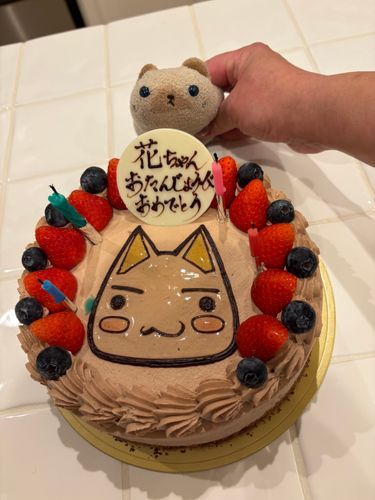 トロさんのケーキでしゅ(=^x^=)
チョコレート味でしたよ🍫
