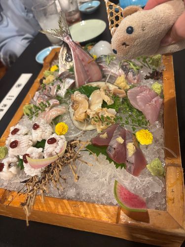 大きなお刺身が来ましたよ(=^x^=)
ニヤアもたくさん食べました！