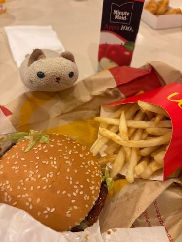 マックのテリヤキセットを食べましたよ(=^x^=)
お母さんはテリヤキが好きでいつもこればかりなんで、ニヤアは飽き飽きしてるんでしゅ！