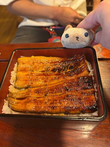 たいがさんが注文したうなぎでしゅ(=^x^=)
ニヤアもひとくちもらって食べましたよ🐟