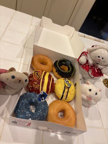 ハリーポッターのドーナツいただきましたよ(=^x^=)
ニヤアはなににしようかな？
お母さんはプレーンが好きなんでしゅって(=^x^=)