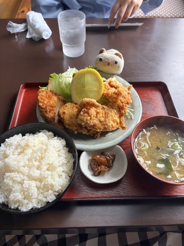 からあげ定食食べてきましたよ(=^x^=)
お母さんから一個もらいました。
