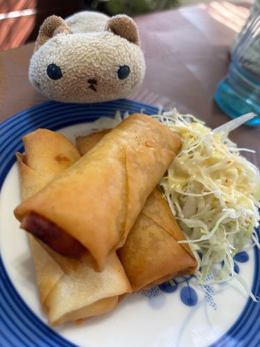 春巻でしゅ(=^x^=)