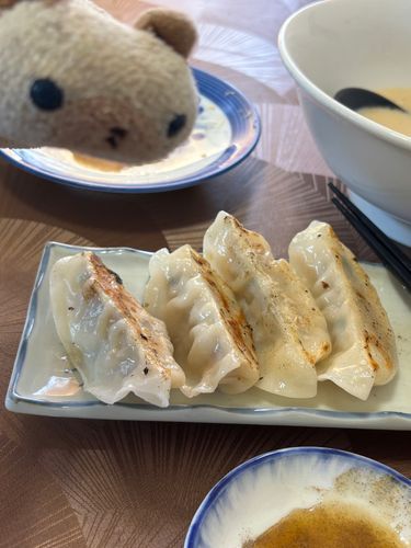 やっと来た餃子でしゅ(=^x^=)