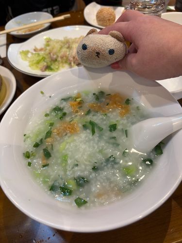 これはお母さんが食べた中華粥でしゅ(=^x^=)