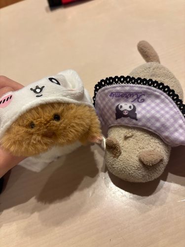 ハロウィンということで、お母さんにクロミさんの服を着せてもらいましたよ(=^x^=)
新入りのポシャも仮装して参加でしゅ(=^x^=)
