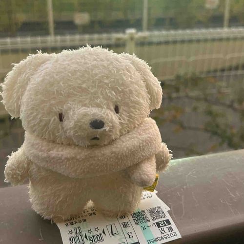 ぎゃんぶる よくない …。ばくし ひた ひ　(なみだ)