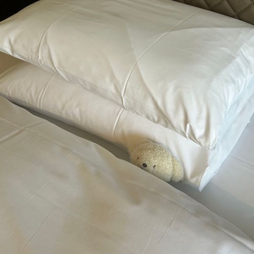 おおさか ついて そくね