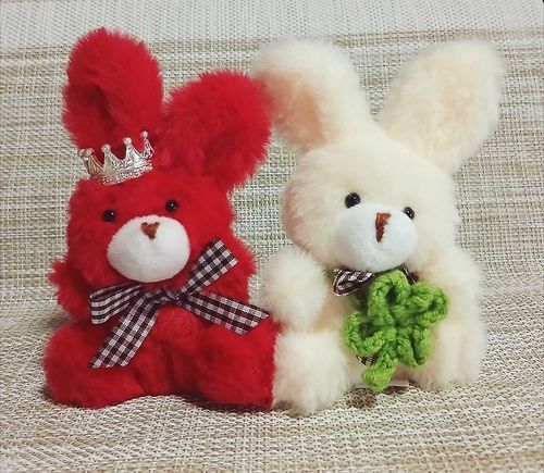 うさぎの兄弟をお迎えしました。
❤「きょうから せわになる」
💛「あにうえ と わたしを よろしくおねがいします！」