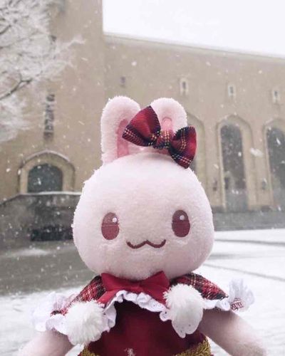 もうクリスマス気分だもんねー