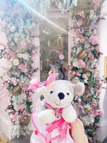 もものお友達のまめちゃんだよ
吊り目がかわいい
とっても優しいレディー
よろしくね
