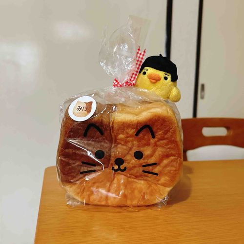 ネコショクパン！