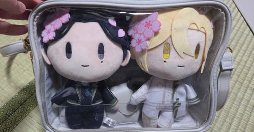誕プレにもらった大きめぬい専用カバン🎶
これから、ぬいやねんどーるとお出かけするのが楽しみ