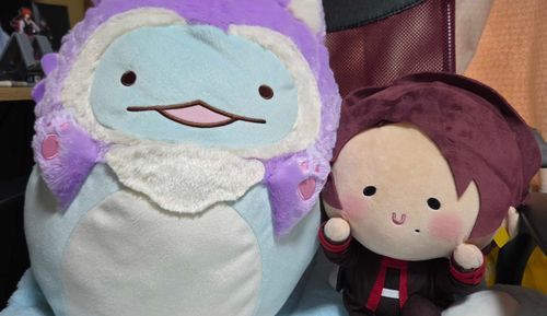 新しい仲間をお迎えしました〜！
大きめサイズの子達のモフモフ感とか表情大好き💕
これからよろしくね😘