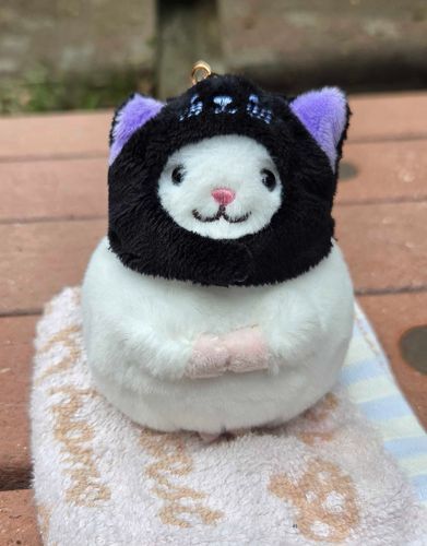 この間出した👻チンチラちゃんの相方🐈‍⬛ ͗チンチラちゃん！
どっちもモフモフだし、おにぎりみたいなサイズ感が本当に可愛くて癒し🥰️