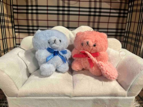 りゅやさんと。
そふぁ、ふかふかやった。