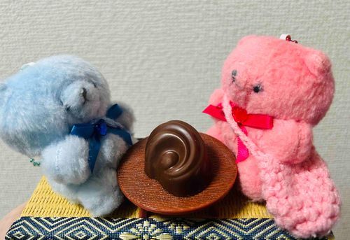 ばれんたいん、やね。
おいしいちょこもらったから、りゅやさんとわけっこする。