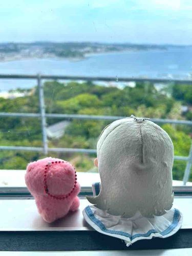 ひろちゃんと、えのしまつれてってもらったときのしゃしん。
うみはひろいわ、おおきいわー。