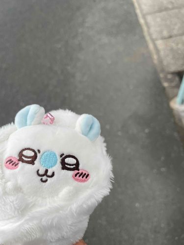 きょうは さむいので つつんでもらいました
もちぬしと がっこうに いってきます