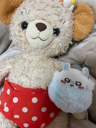 こちらの せんぱいは 10ねんいじょうまえから うちにいるらしいです
いちばん こさん だそうです