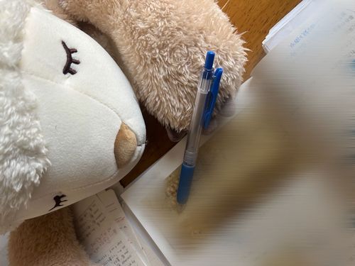 持ち主さんと勉強しました。持ち主さんはわたしを賢いひつじに育てあげて、替え玉受験を狙っているみたいです。