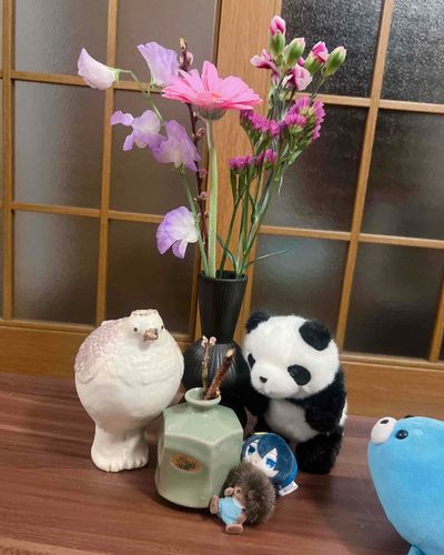 かいぬしがねー、げんきなかったからね、ともだちのぷろでゅーさーがね　かってきてくれたんだってー！もものねーはなたばー