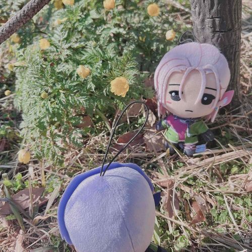 さぶちゃんがね、むらくもにね、ふくじゅそうのことおしえてあげたらね、さみだれにもおしえていーい？っていったから、いーよ！っていったの〜♡
ふたりともなかよくおさんぽしてたよー🚶さぶちゃんもなかまにいーれーてー！