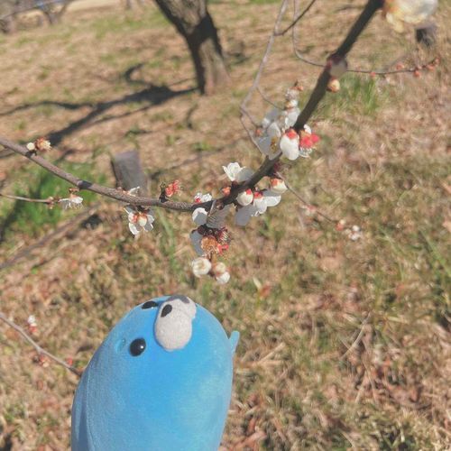 すんすん　すんすんすん　すぴ　へっくちゅ