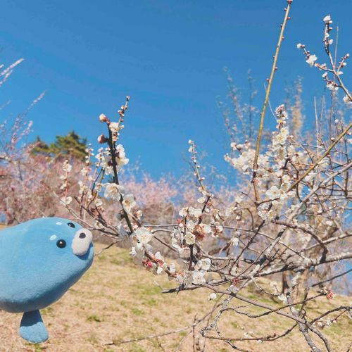 どれもきれいだねー　かいぬしー　へっくちゅ