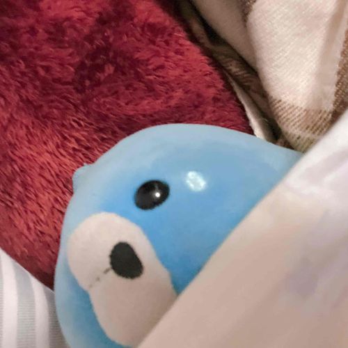 (かいぬしが　げんきないから　さぶちゃん　そいねしてくるね…ｺｿｺｿ  みんなもね、ふあんなときはね、さぶちゃんといっしょにねようね…ｺｿｺｿ おやすみー)
