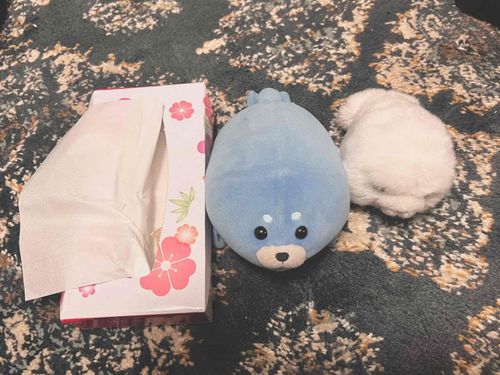 あざらしのーゆきちゃんとねーせいくらべ！てぃっしゅがいちばん　おっきいねぇ🦭