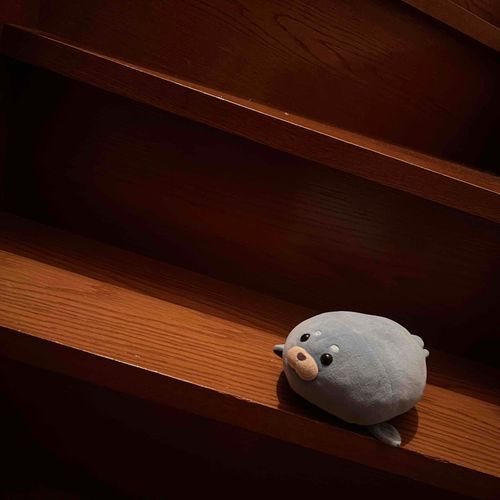かいぬしねますよー　かいだんあがれる？だいじょうぶ？さぶちゃんについてきてねー