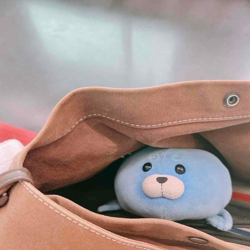 かいぬし　きょうはりゅっくじゃないんだねぇ
さぶちゃんのおかお　ながめほうだいだねぇ

さぶちゃんもおそとでようかな(よじよじ)