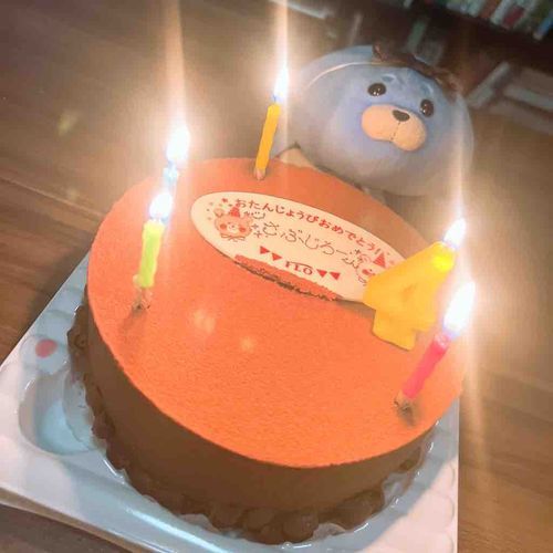 6/10はさぶちゃんのばーすでーだったよー🎂
こめんとのおへんじ　ちょっとまってね、よんさいのさぶちゃんが　ちゃんとおへんじするからね🦭いつもありがと〜