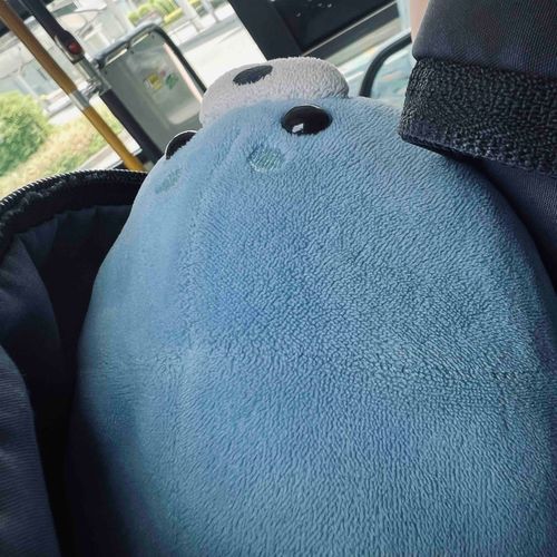 かいぬしとねー　さとがえりを　ちょとだけしたよー🦭
かいぬしはね　おぼんは　おしごとなんだけど、みんなはどこか　おでかけする？