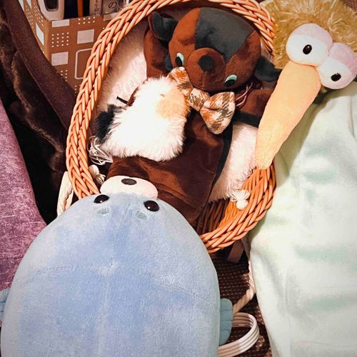 このこはね、かねさんっていうんだよ〜🧸ときのかねがもちーふって、かいぬしがいってた！

きーうぃとね、いっしょにね、こもりうたを　さぶちゃんうたうんだ〜♩
おねんねだよ〜かねさん〜〜♩ぷ〜〜🦭♩
