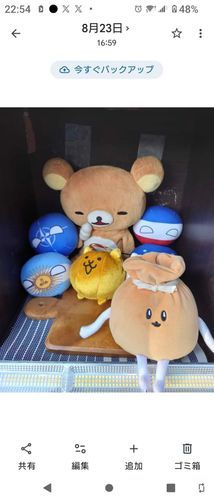 とある店がぬい達を飾っていたので、お願いして一緒に撮らしてもらいました
もちもちきんちゃく