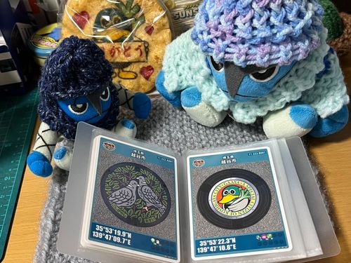 マンホールカードシリーズお次は、埼玉県越谷市だよ〜
シラコバトとガーヤちゃん可愛いね🐦🦆
ガーヤちゃんのプリント煎餅もあるよ🍘