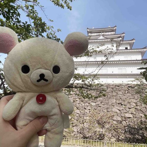 城たんだよ、しろたん