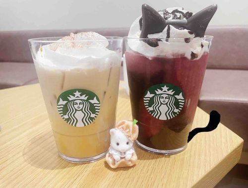 ユキヒョウのあかちゃんがもちぬしのお気に入りです❄️