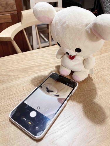 しろたん写ってる？