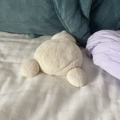 ごめん寝