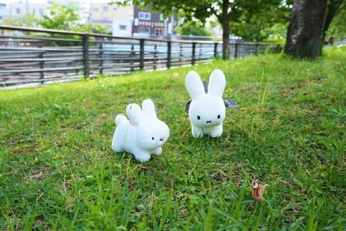 草とうさぎ