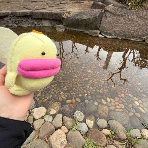 ぼく、およげません