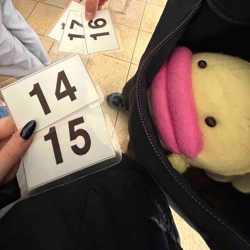 ポケットがおちつく(・ө・)