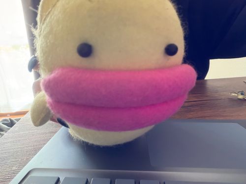 ぼく、ぽちぽちできるよ